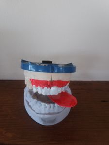 Teeth - Atmo