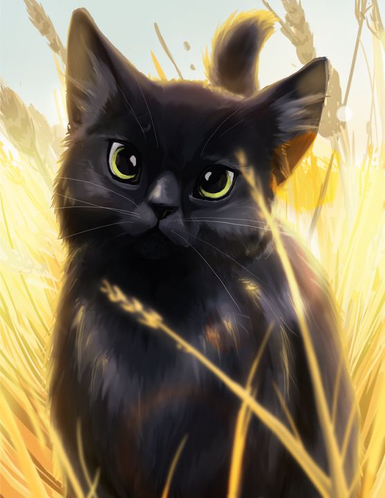 Black Cat - Nellipset