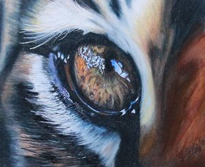 Tiger's Eye #1