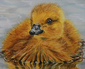 Duckling Afloat