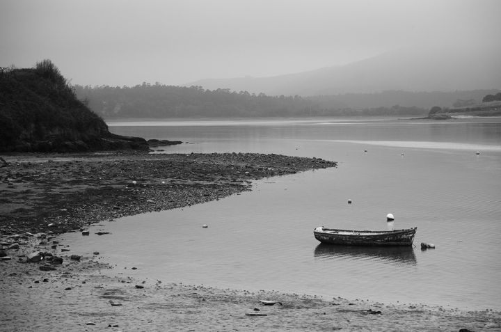 Misty Estuary - Alun Thomas