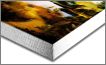 Jap Landscape - Don Pafegs - Paintings &amp; Prints, Landscapes &amp; Nature ...