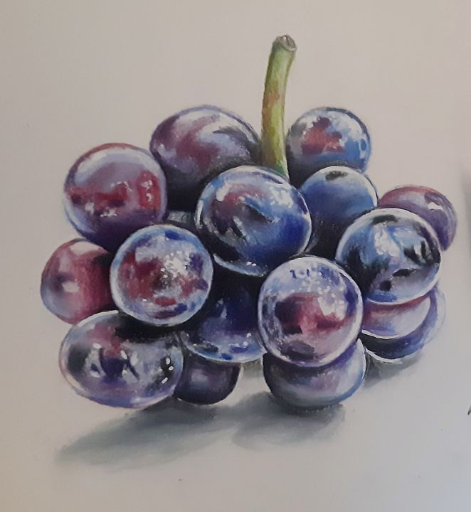 Realistic Grapes in Colored Pencil by kakosuranosx on DeviantArt