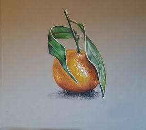 Still Life Drawing, Fruits Trosa's Artworks Drawings