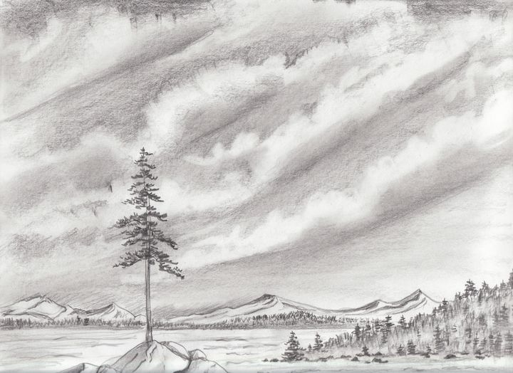 Leith Hill Surrey Pencil Sketch – Jenny Meehan Contemporary British Artist  | Jenny Meehan - Art Journal