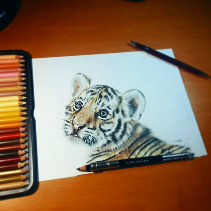 Featured image of post Drawing Realistic Colored Pencil Sketch Drawing Realistic Tiger - Your photo is once the pencil drawing process is completed, download button is enabled in the tool to download your pencil sketched image.