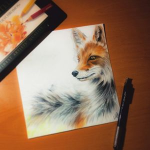 Red Fox (Original)