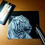 White Tiger (Original)