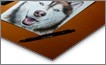 Metal Print