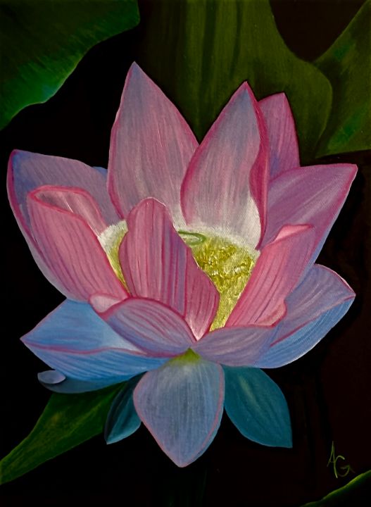 Lotus - Andrew's Unique Oils - Paintings & Prints, Flowers, Plants ...