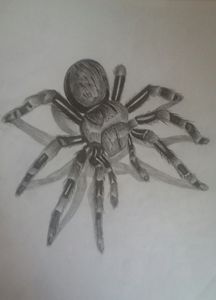 Spider 3d pencil drawing