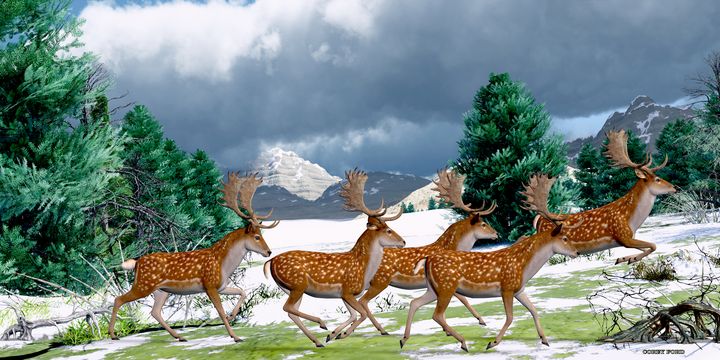 Fallow Deer Winter - Corey Ford Gallery LLC