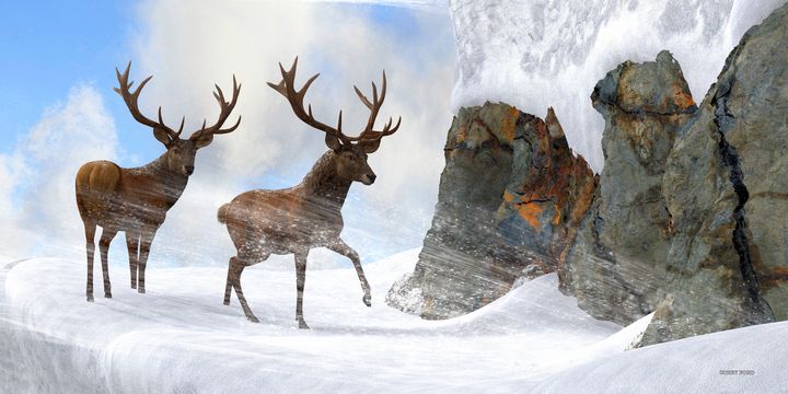 Red Stag Mountain Pass - Corey Ford Gallery LLC