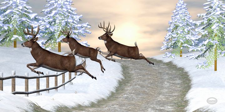 Whitetail Deer Jumping Fence - Corey Ford Gallery LLC