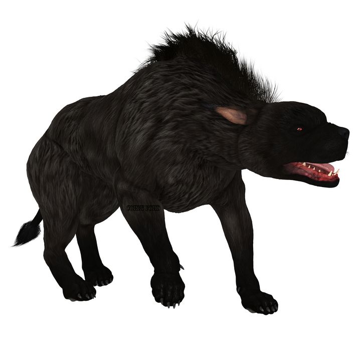 Black Warhound Walking - Corey Ford Gallery LLC