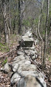 HAVERHILL,MASS ROCK BOARDER