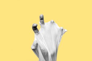 Plastic Pollution Is Not a Problem - Andrew Stripes