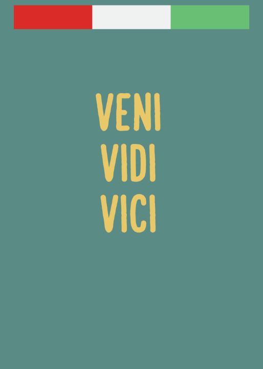 Veni Vidi Vici Posters and Art Prints for Sale