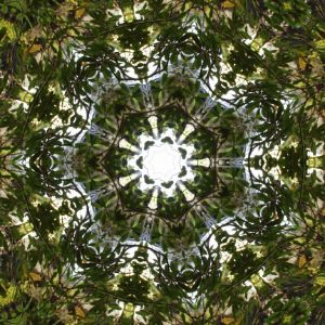 LEAVES OVER THE WATEFALL