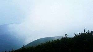 Mist Over Cannon Mountain