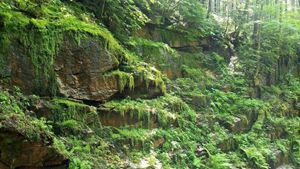Flume Gorge