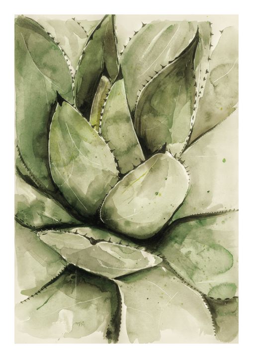 afstuderen Fabrikant Verbetering Flower painting. Aloe vera - Liana Gallery - Digital Art, Flowers, Plants,  & Trees, Plants, Aloe - ArtPal
