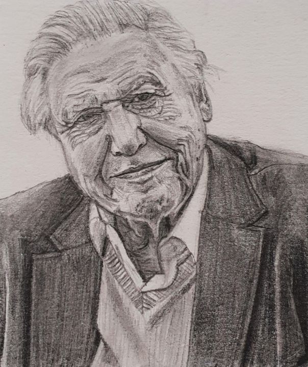 Speed Draw  David Attenborough Pencil Portrait Time lapse Drawing   YouTube