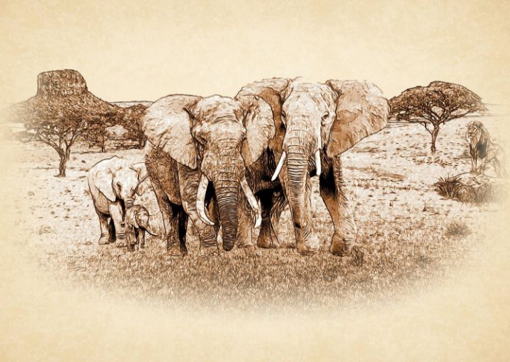 elephants, africa, animals of africa - Souvenir
