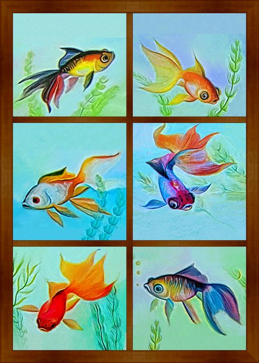 Fish Collection - Souvenir