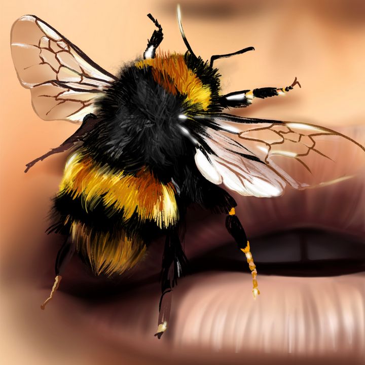 bumblebee - ArtAbra