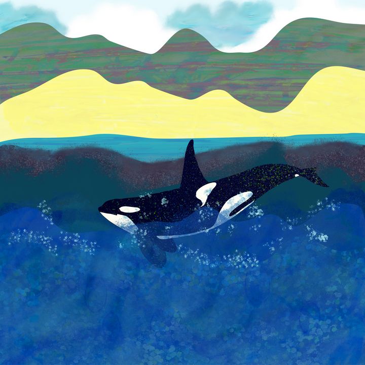 Orca in shiny ocean - Melanie N Creations
