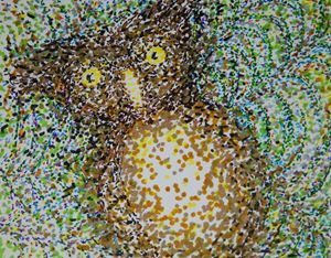 Owl Watch