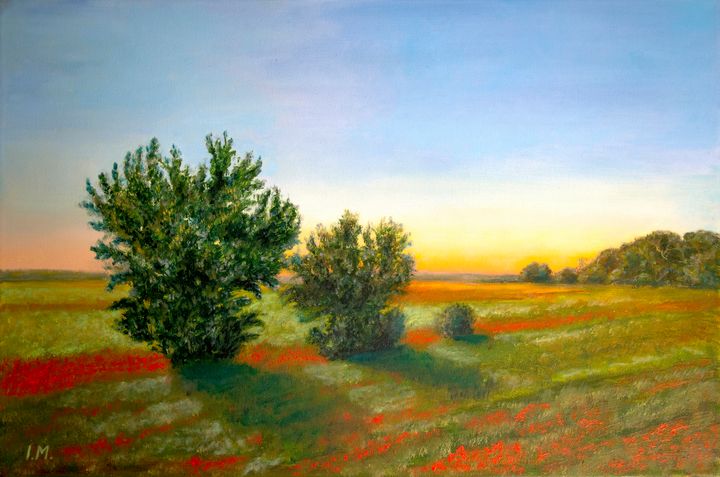 Field with poppies - ArtbyIM
