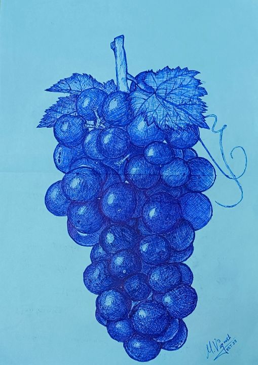 Grapes Drawing Colouring Vector Images (over 200)