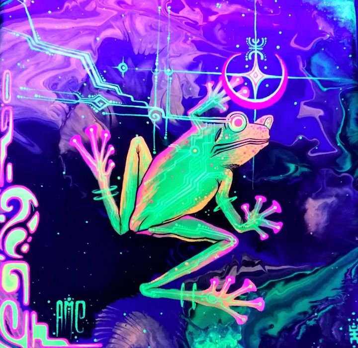 Cosmic Frog - Artemaizcacao - Paintings & Prints, Fantasy & Mythology ...