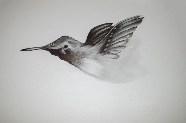 Hummingbird Pencil - Daniel Guillen