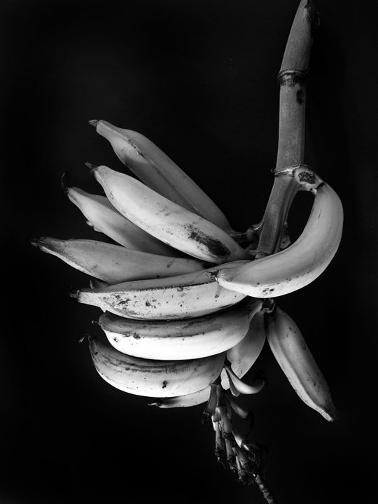 Plantains in b&w - Arte Sobre Papel - Photography, Still Life, Food ...