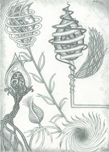 Different Flora