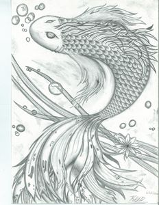 Black and White Koi