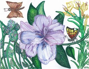 An Azalea Attracts Butterflies
