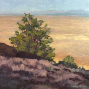 Afternoon in the Basin and Range