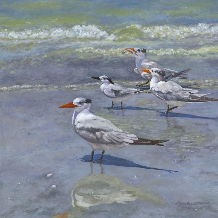 Winter Terns - Pamela Beaverson Fine Art