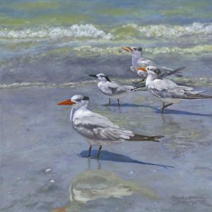 Winter Terns