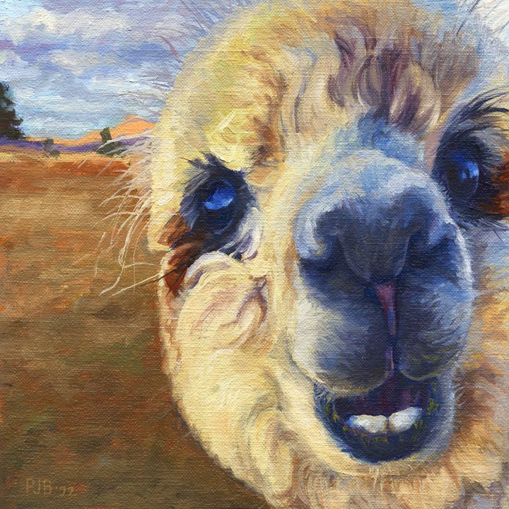 Alpaca Selfie - Pamela Beaverson Fine Art