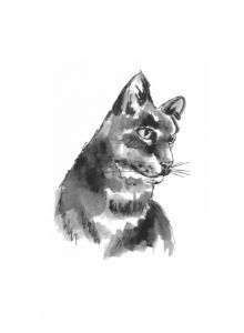 Cat Portrait in Ink and Wash