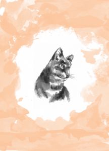 Cat Portrait on Orange, Ink and Wash