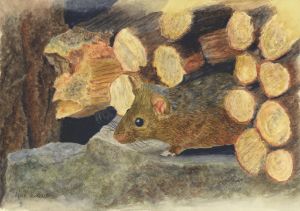 Mouse in a wood pile