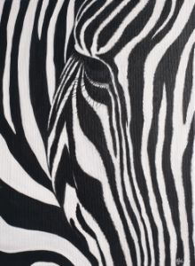 Zebra stripes