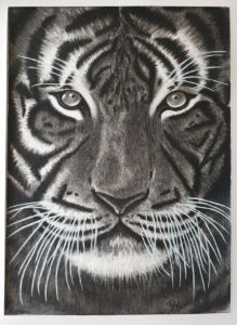 Charcoal Tiger