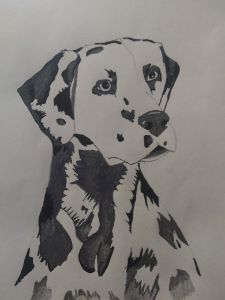 Black & White Dog Collection - CC World - Digital Art, Animals, Birds, &  Fish, Dogs & Puppies, Dalmatian - ArtPal